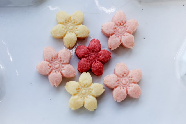 最大限の感謝とお祝いの気持ちを送りたい❗️ “となりの開花堂のおはなのクッキー“