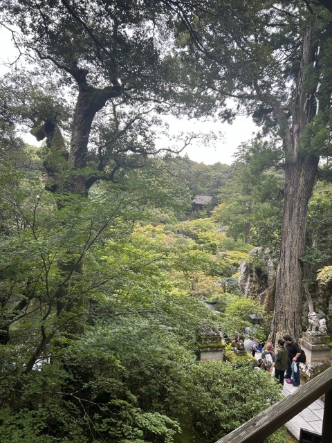 那谷寺_上からの景色.jpg