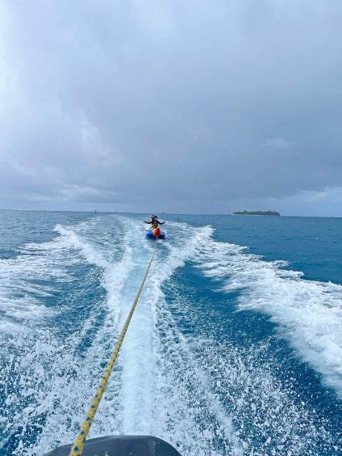 IMG_1679.jpg