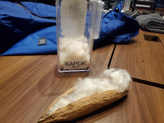 20241116kapok_2.jpg