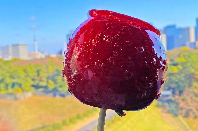 とびきり美味しいりんごが食べたい❗️ 代官山Candy appleのりんご飴❗️